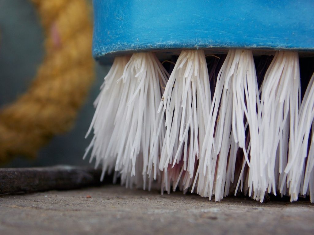 Close-up of a blue brush with white bristles
