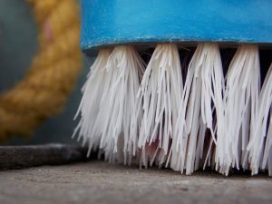 Close-up of a blue brush with white bristles