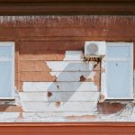 Two windows on a weathered red wall with peeling white paint and an air conditioner
